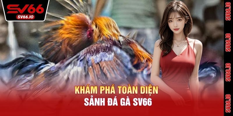 Khám phá toàn diện sảnh đá gà SV66