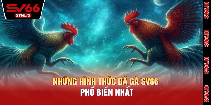 Những hình thức đá gà SV66 phổ biến nhất