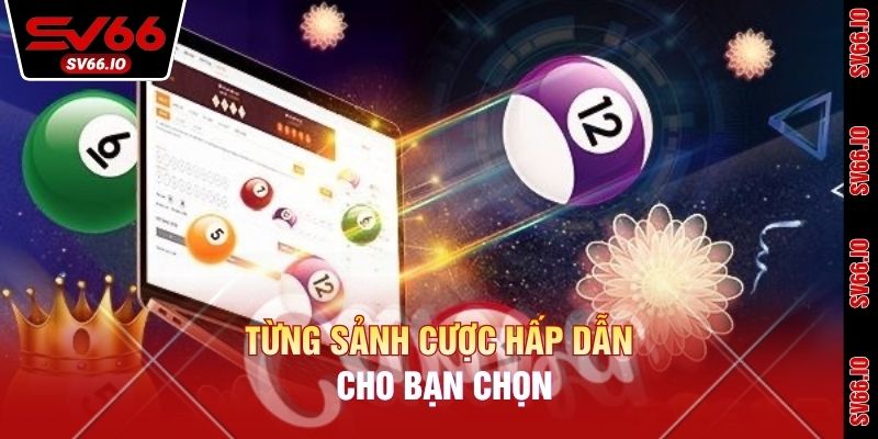 Từng sảnh cược hấp dẫn cho bạn chọn