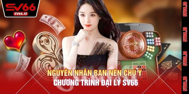 Nguyên nhân bạn nên chú ý chương trình đại lý SV66