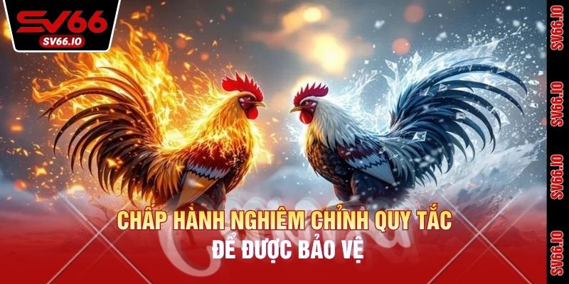 Chấp hành nghiêm chỉnh quy tắc để được bảo vệ