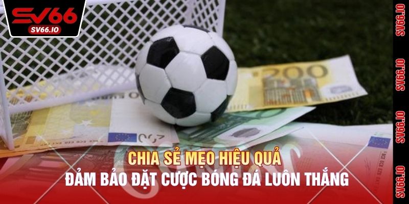 Chia sẻ mẹo hiệu quả đảm bảo đặt cược bóng đá luôn thắng