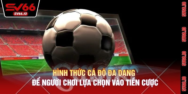 Hình thức cá độ đa dạng để người chơi lựa chọn vào tiền cược