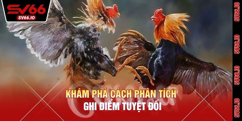 Khám phá cách phân tích ghi điểm tuyệt đối