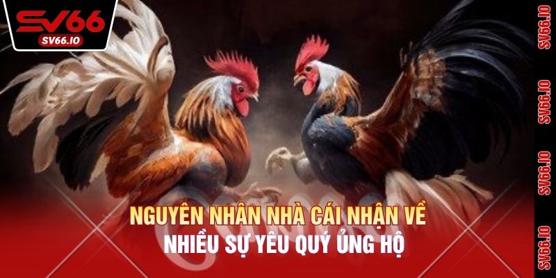 Nguyên nhân nhà cái nhận về nhiều sự yêu quý ủng hộ