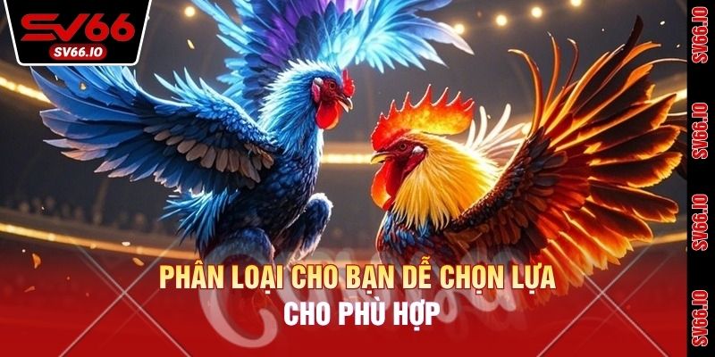 Phân loại cho bạn dễ chọn lựa cho phù hợp