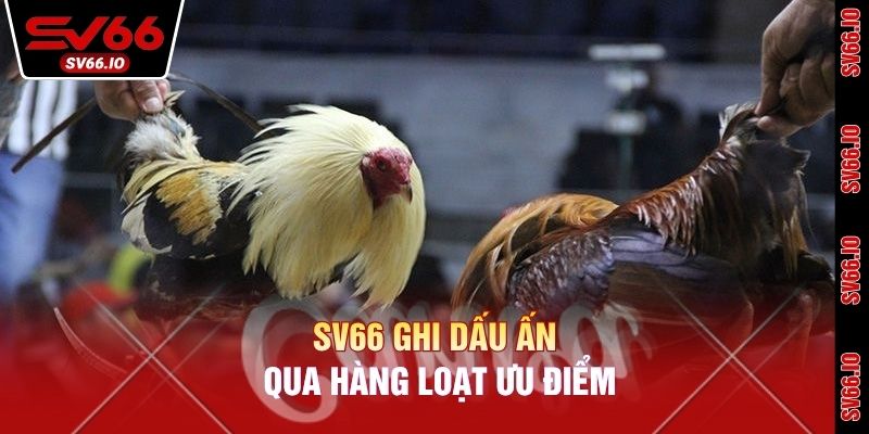 SV66 ghi dấu ấn qua hàng loạt ưu điểm