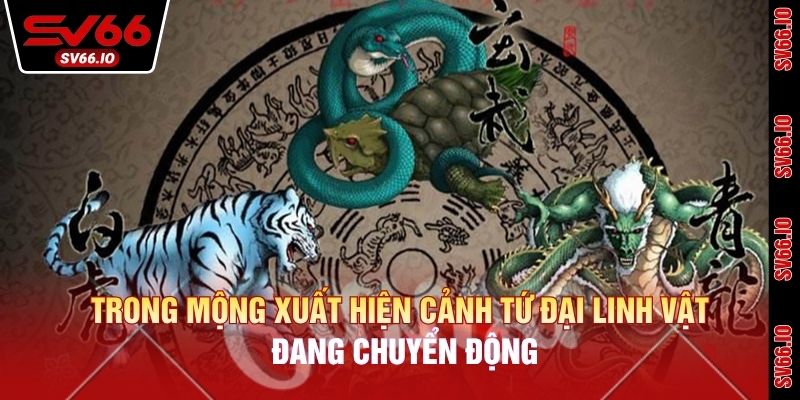 Trong mộng xuất hiện cảnh tứ đại linh vật đang chuyển động